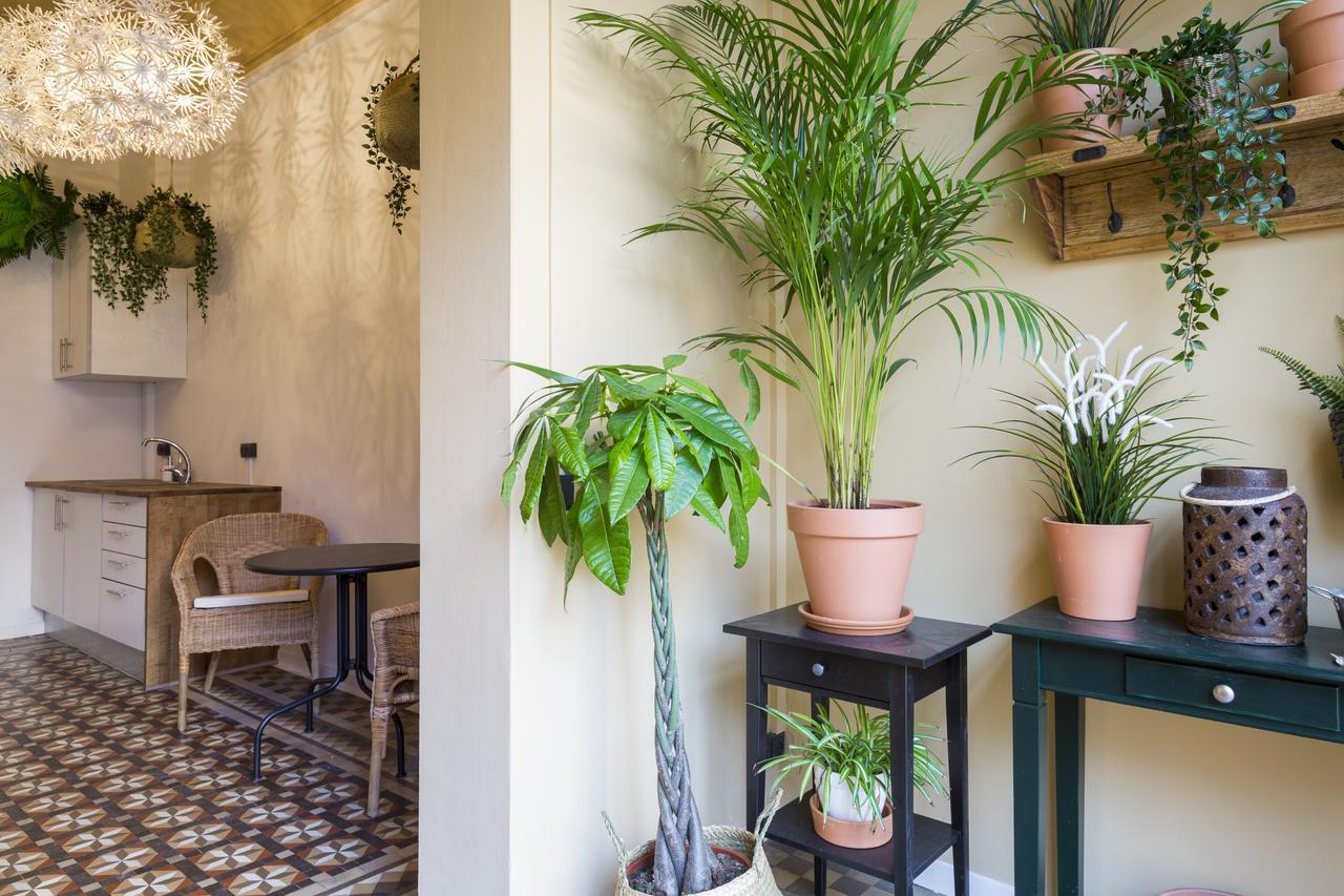 Casa Maca Barcelona (Adults Only) Hotel Kültér fotó